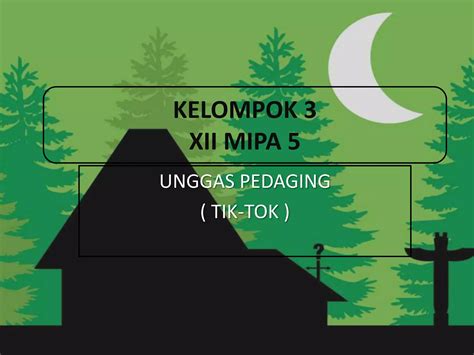 itik_site|TikTok .
